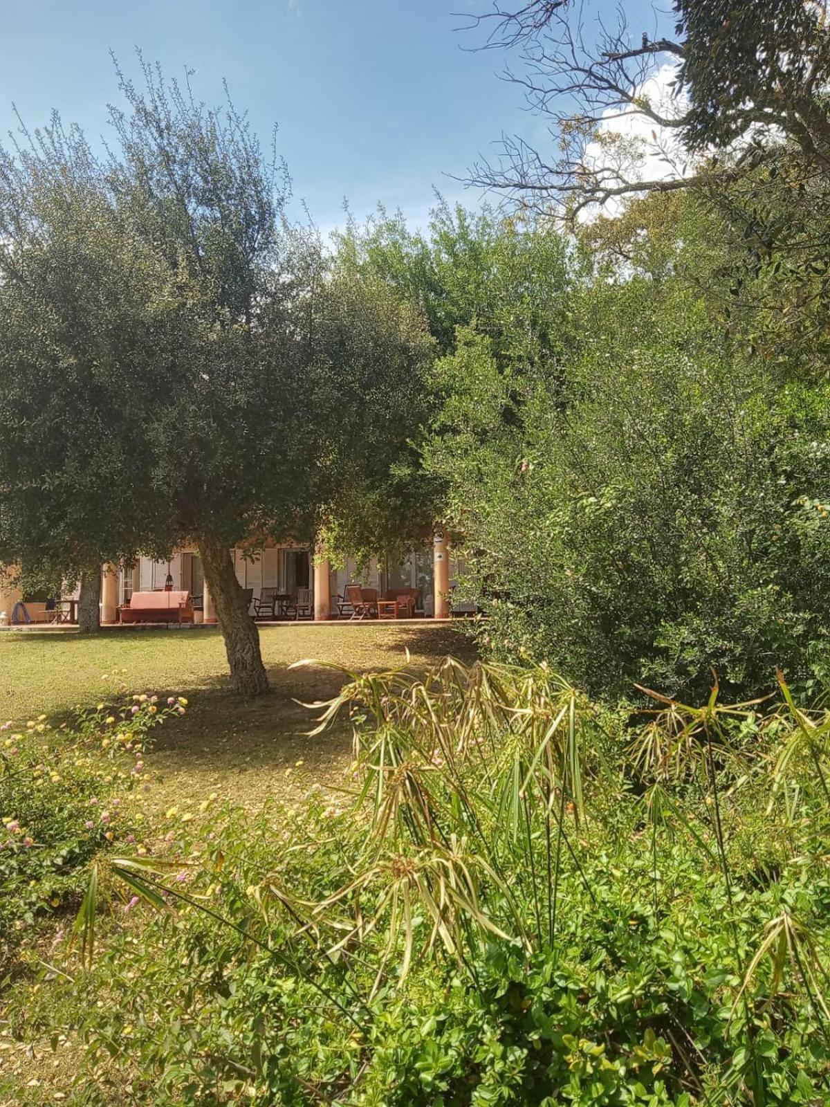 Sotogrande. Estancia Privada En Plena Naturaleza Εξωτερικό φωτογραφία