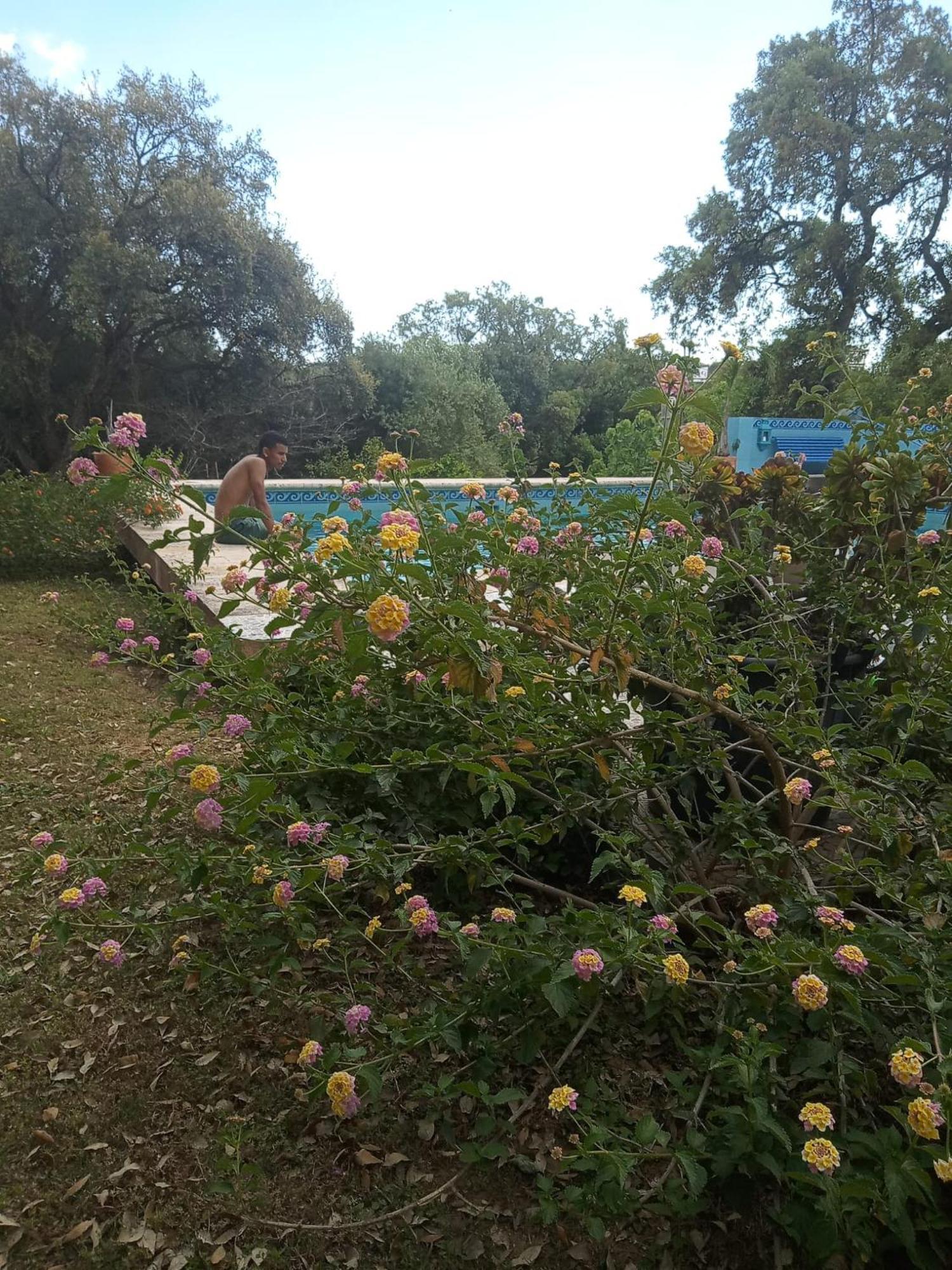 Sotogrande. Estancia Privada En Plena Naturaleza Εξωτερικό φωτογραφία